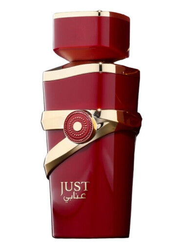 Just Anabi - Eau de Parfum 100 ml